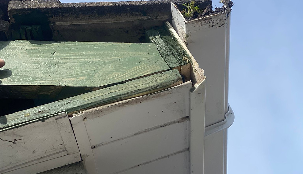 Fascia & Soffit